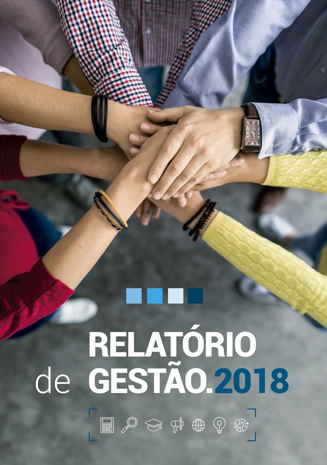 Read more about the article Relatório de Gestão 2018