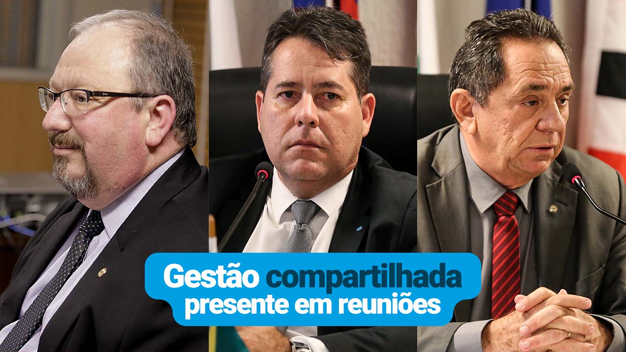 Read more about the article Gestão compartilhada presente em reuniões do CFA