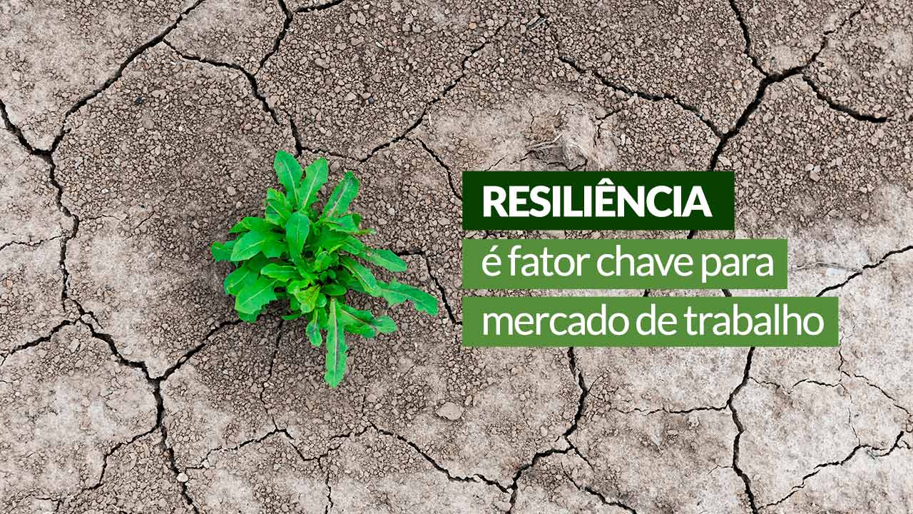 Read more about the article Resiliência é fator chave para mercado de trabalho