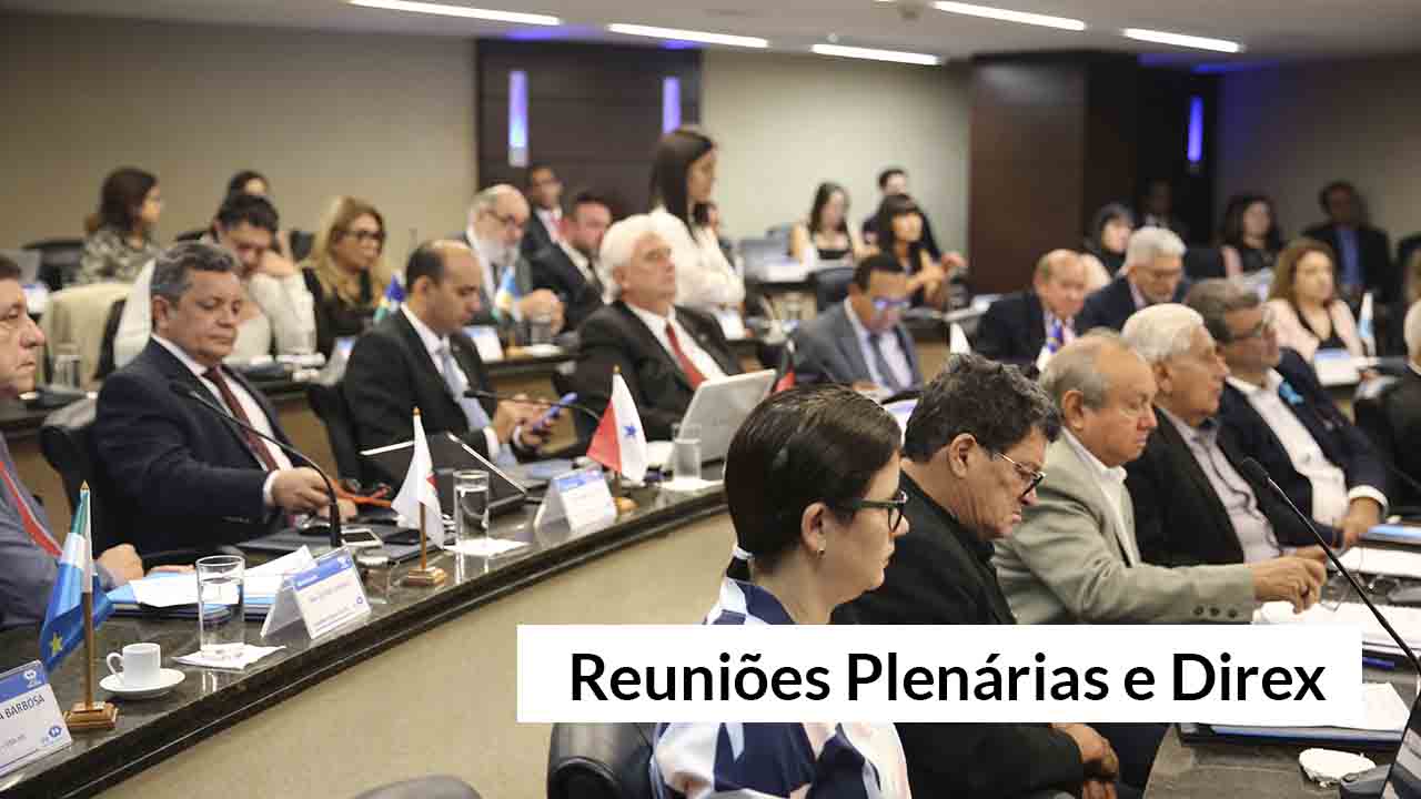 You are currently viewing Direx e Reuniões Plenárias de dezembro acontecem no CFA