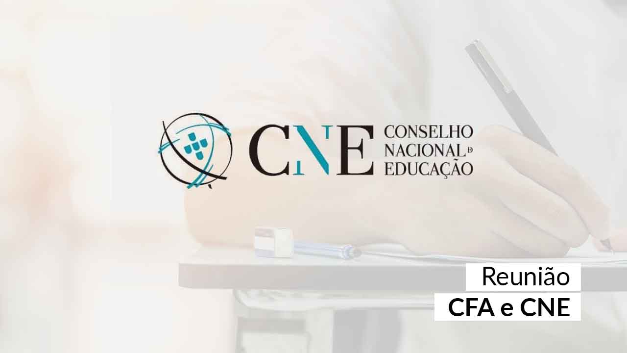 Read more about the article Novas DCNs em Administração vão alinhar ainda mais teoria e prática