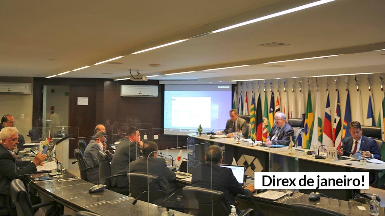 Leia mais sobre o artigo Direx: 1ª reunião de 2022 define ações do Sistema CFA/CRAs