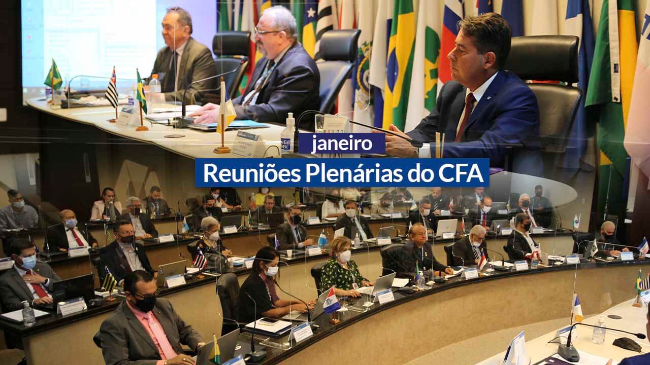 No momento você está vendo Reuniões Plenárias de 2022: CFA discute ações da profissão